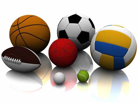 球迷是他职 球迷是他职