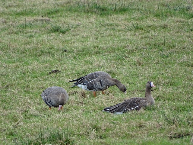 确保球队始 确保球队始