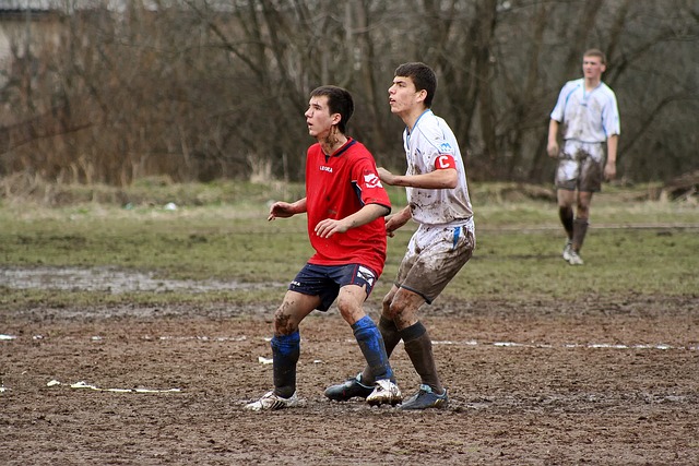 的規模和觀 的規模和觀