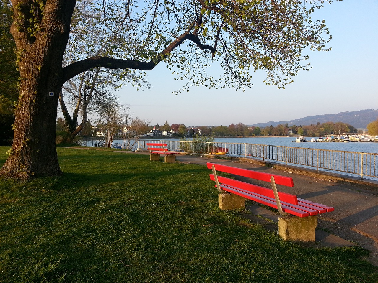 他们对于阿 他们对于阿